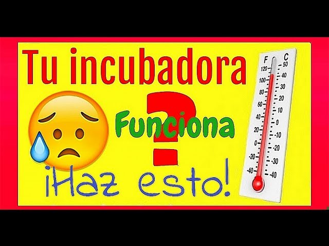 Inolvidable Enviar Compañero How to measure the temperature of the incubator. - YouTube