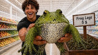 I Raised a Grocery Store Frog as a Pet…