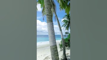 "رَبِّ اجْعَلْنِي مُقِيمَ الصَّلَاةِ" #قرآن #راحة_نفسية #القرآن_الكريم #quran #اكسبلور #تلاوة_خاشعة