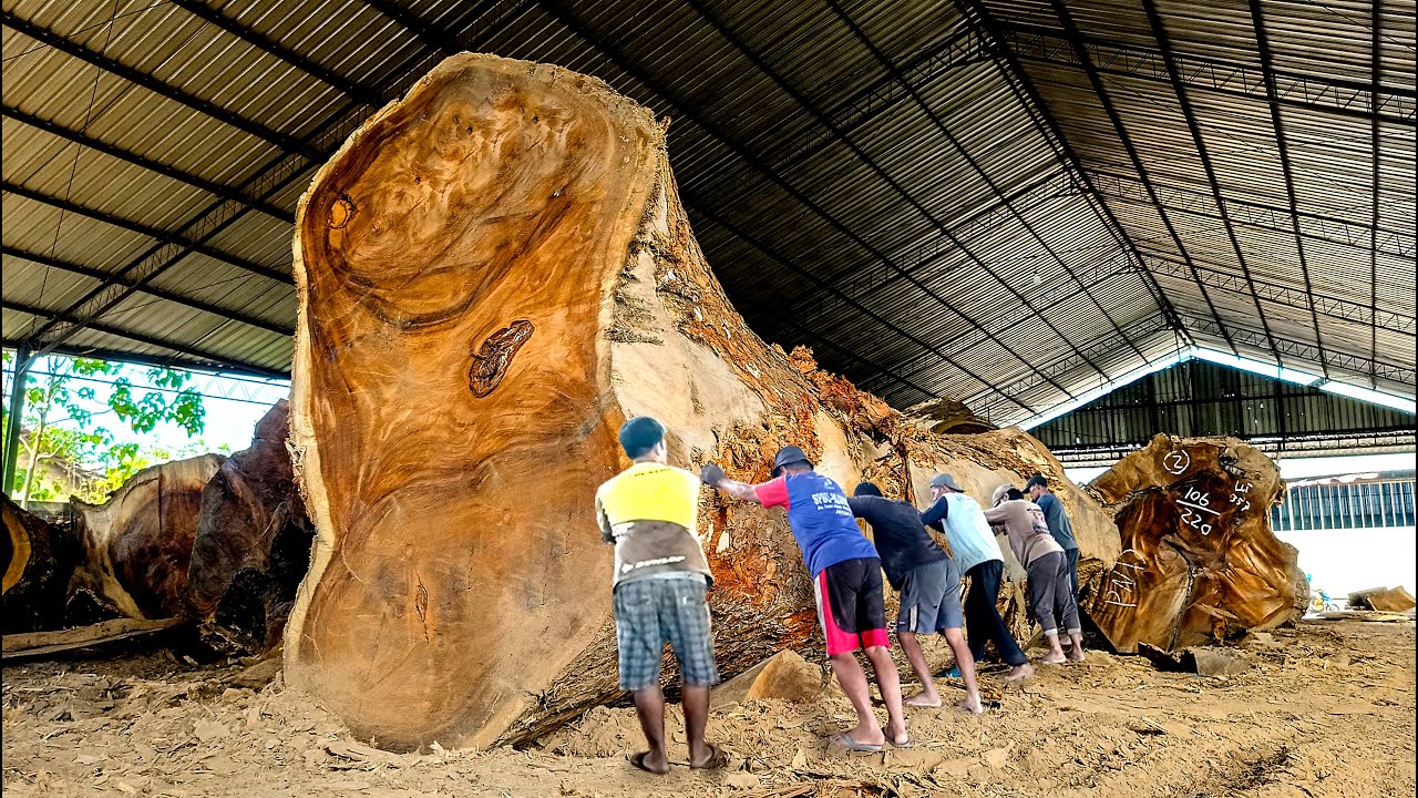 Слэш на 1 миллиард динот!! Султан покупает супербольшие пилы по дереву трембези I