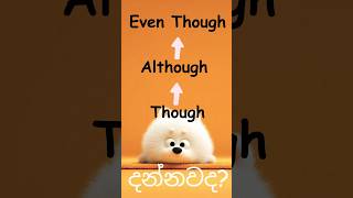 🌟 Stop Confusing Though / Although / Even Though! #englishwithdela