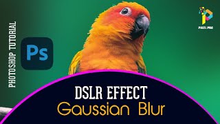 blur background in Photoshop | blur photo background like dslr Photography 2024 screenshot 5