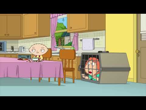 Family Guy Stewie Stew Stewart 