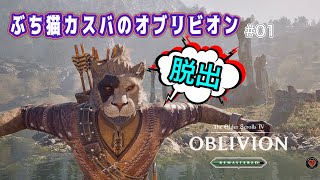 OBLIVION DUST 旧FC『embryo』会報 Vol.1~8(最終号) Oblivion Remastered】#1 ぶち猫のオブリビオン | 多世界から