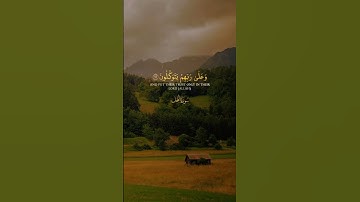 أكتب شيء تؤجر عليه 😪♥️🌌||هدوء وراحة نفسية 💐🫀🤍||#سورة_النحل #ياسر_الدوسري #طبيعة #هدوء_نفسي
