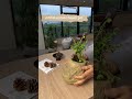 A collection of stone-inspired planters #homedecor #interiordesign #diningtabledesign #planters