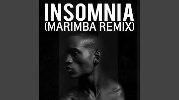 Insomnia (Marimba Remix Parody)