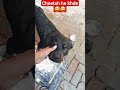 wait for and masti with tinku😅😅😅#shortsfeed #comedyvideos #youtubeshorts #funny #shortsviral