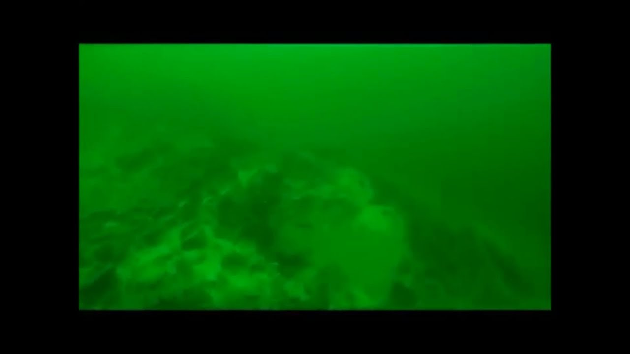 Pink and White Terraces with Hochstetter's survey- Vents, Bubble Plumes and Wave Terraces