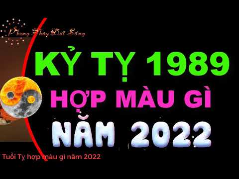 Năm 1989 Hợp Màu Gì - Tuổi Kỷ Tỵ 1989 hợp màu gì 2022 để mang tới TÀI LỘC,MAY MẮN