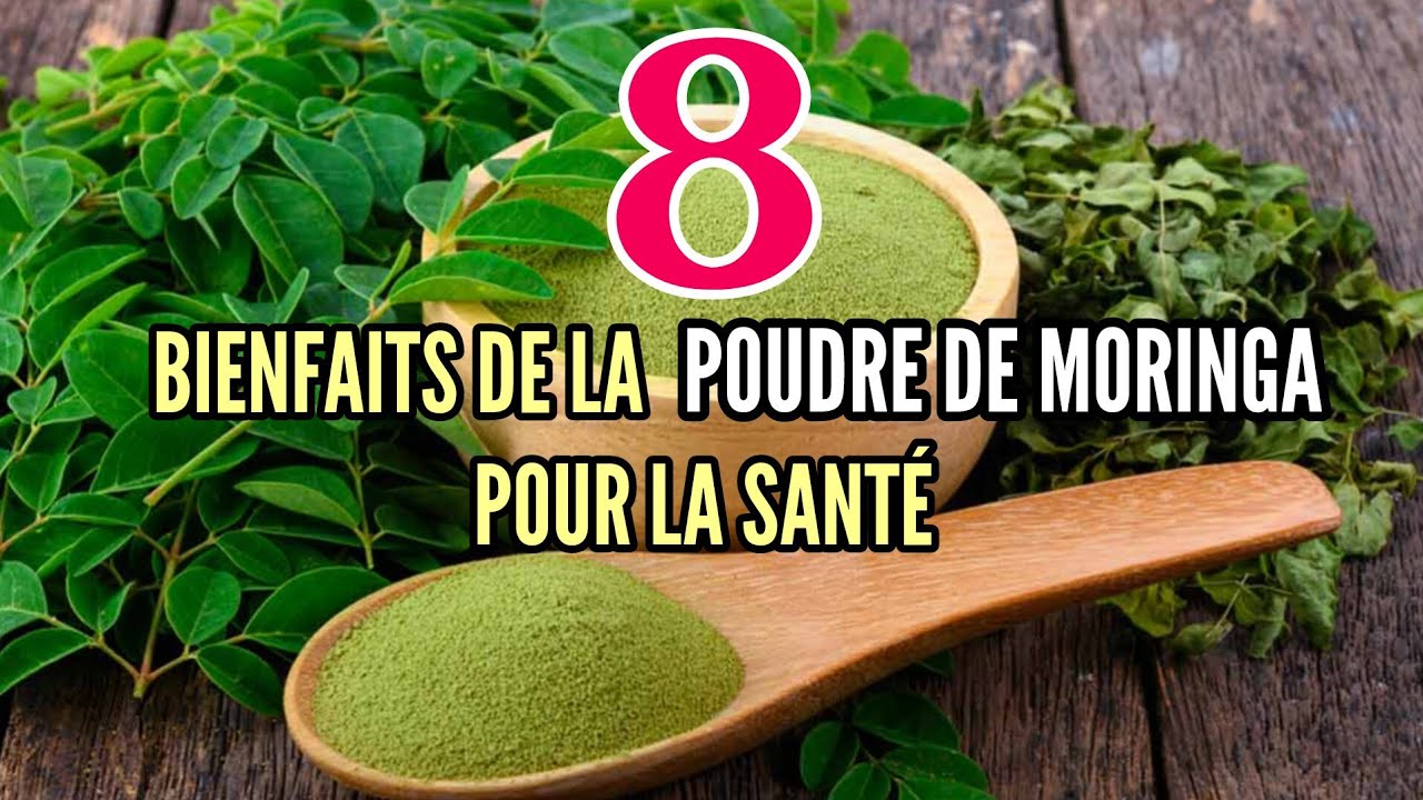 Les 8 bienfaits de la Poudre de Moringa pour la santé !