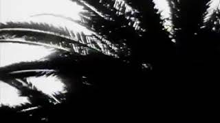 L7 - andres (with lyrics)