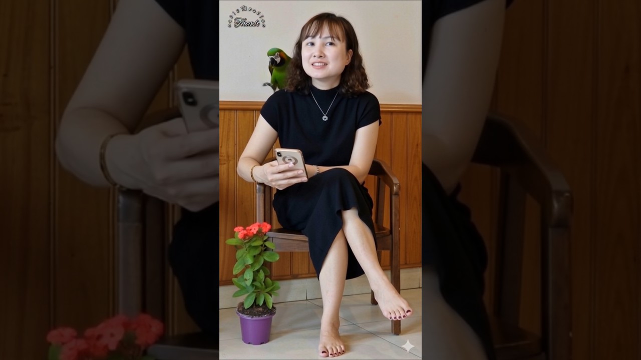 💗🦜Quý cô và chú vẹt🦜💗 #giaitri #vuinhon #viral #reviewvui #trending