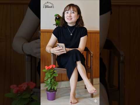 💗🦜Quý cô và chú vẹt🦜💗 #giaitri #vuinhon #viral #reviewvui #trending