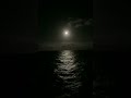 A Desert of Waves, Mysterious and Dark. #literature #philosophy