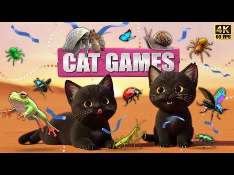 CAT GAMES 🐾3D Game for Cats | Video for Cats  – Ultimate CAT TV #80😻 4K60FPS
