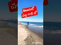 ఉరికే ఉరికే మనసే ఉరికే | Beach # cool breeze