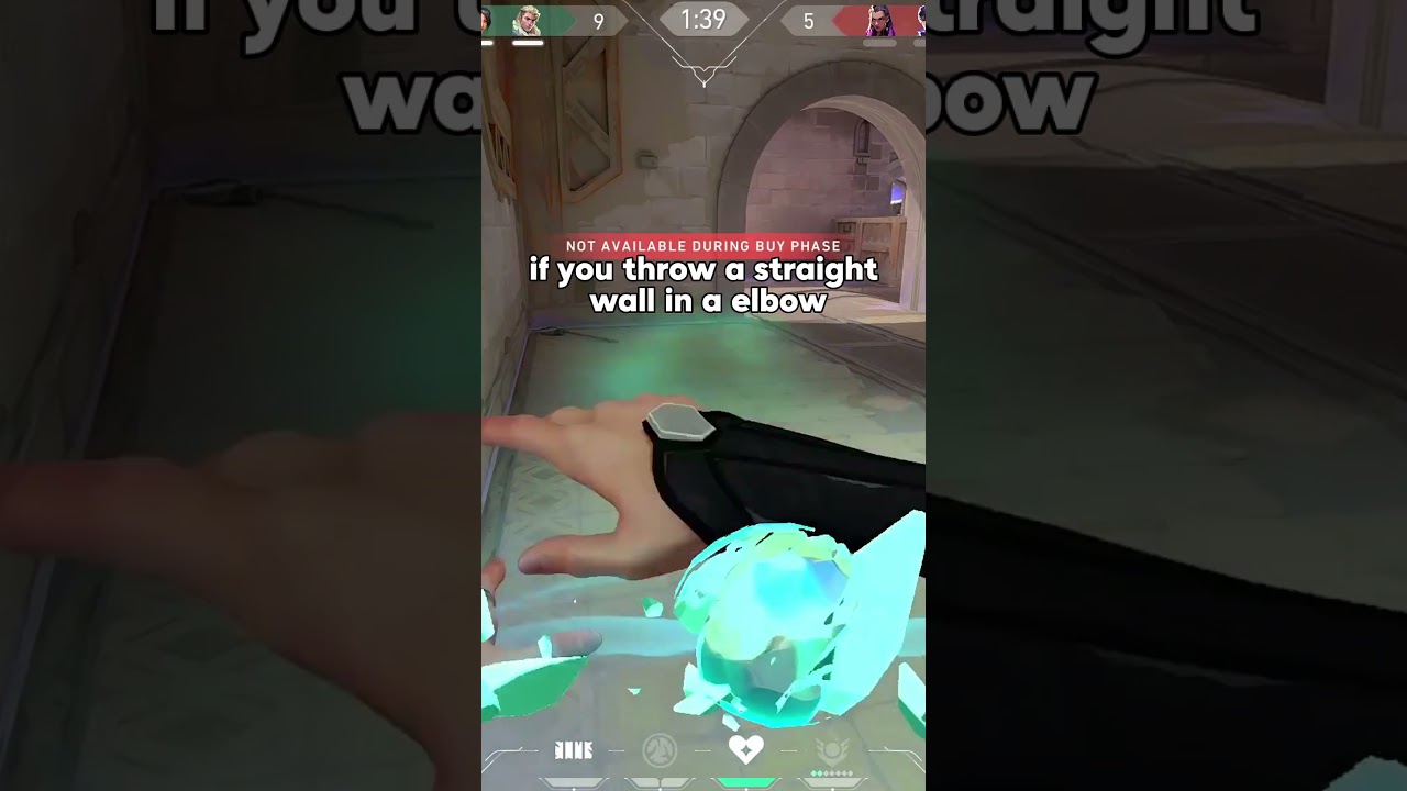 ПОЛЕЗНАЯ СТЕНА SAGE НА КОРРОЗИИ 