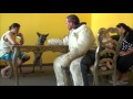 funny pet shows:Premier Protection Dogs Overview-The best Protection Trained Dogs