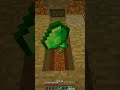 Last Time Playing My Hardcore Minecraft World 😢 #shorts