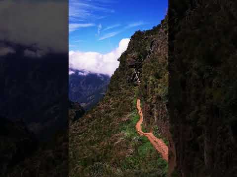 Madeira #europe #travel #portugal #nature #2023 #madeira #sea #atlantic