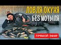 Как ловить окуня на мормышку без насадки? Безмотылка или ловля “на голого”. Прямой эфир.