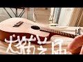 people in the box  犬猫芝居 弾き語り