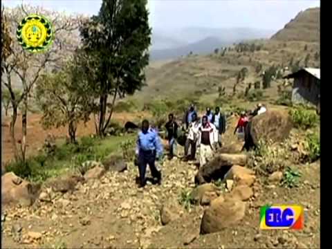 ቪዲዮ: በትራፊክ ፖሊስ ውስጥ ያልተከፈለ ቅጣትን እንዴት ማወቅ እንደሚቻል