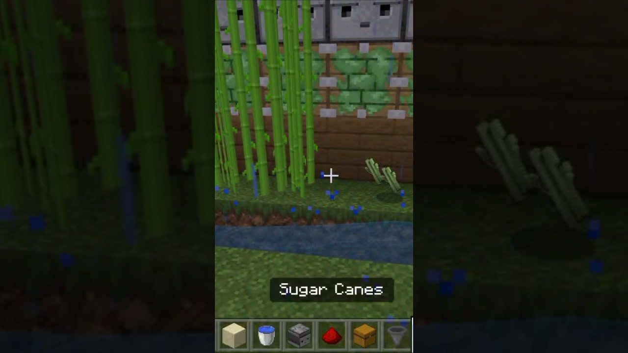 how to build sugarcane farm in Minecraft||Minecraft sugarcane farm||