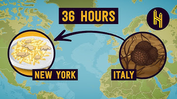 The Intense Logistics of Truffles