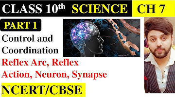 Control and Coordination Class 10 | Part 1 | Chapter 7 | Science | REFLEX ACTION AND REFLEX ARC