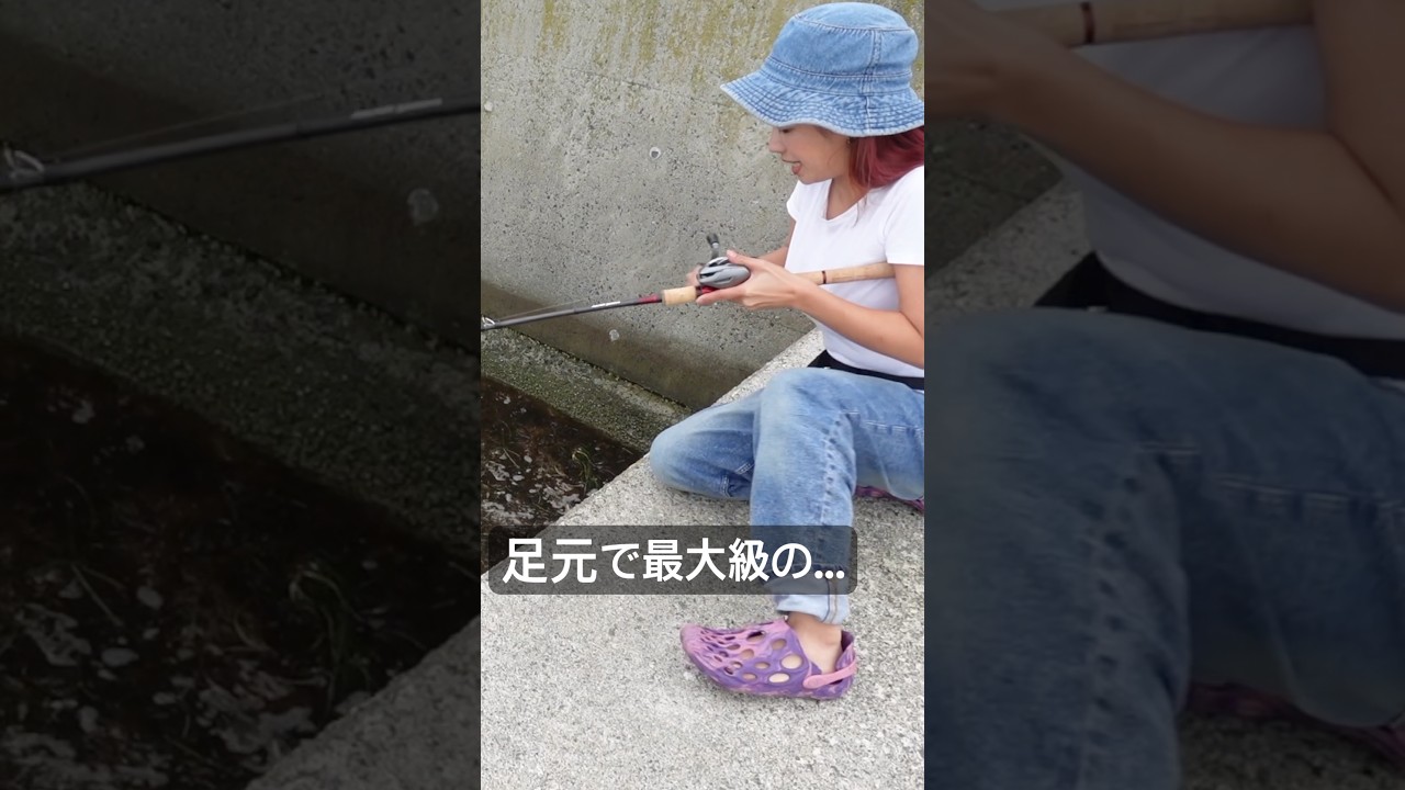 堤防から巨大魚が簡単に釣れる瞬間。 #fishing #マルコス #mancing #釣り