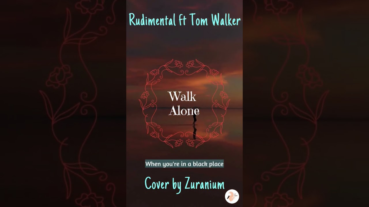 Walk Alone - Rudimental ft Tom Walker (Cover by Zuranium) 