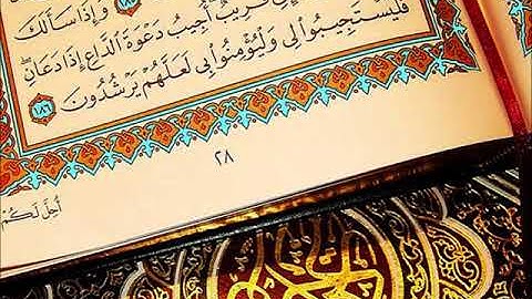 سورة الشمس   توفيق الصائغ