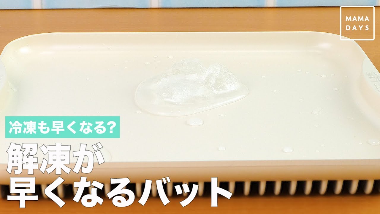 【現貨】🔥🔥【日本製《杉山金屬》雙效急凍解凍去熱盤】
