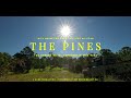 The pines 130 aherns road conondale qld  where dreams meet reality amidst natures grandeur