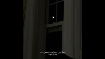 قران كريم بصوت هزاع البلوشي 🤍🌿 حالات واتس اب دينية مقاطع استقرام