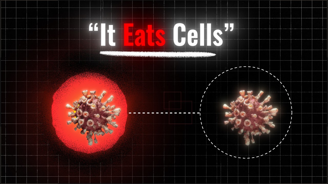 The Weirdest Virus ever is back (Again)