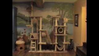 Awesome Cat Trees