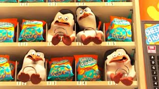 DreamWorks Madagascar em Português |Trecho Exclusivo - Os Pinguins de Madagascar | Desenhos Animados