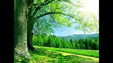 سورة الفاتحة بصوت الخافظ زياد الصالحي