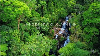 Du lịch Măng Đen nên đi mùa nào? Cảnh đẹp nguyên sơ ngút ngàn | 4K Video