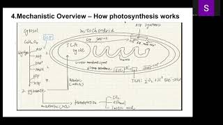 PLB 112 - Photosynthesis