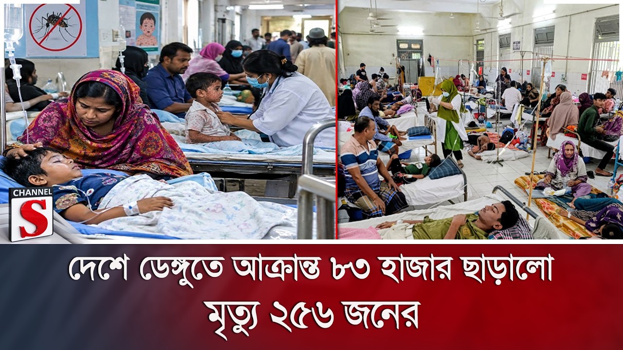 দেশে ডেঙ্গুতে আক্রান্ত ৮৩ হাজার ছাড়ালো; মৃ/ত্যু ২৫৬ জনের | Channel S News