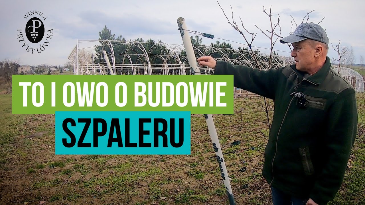 To i owo o budowie szpaleru