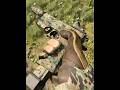 Cod 19 have some unique camo #cod #mw2 #mw3 #warzone #callofduty