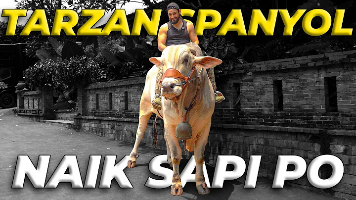 PERTAMA KALI TARZAN SPANYOL NAIK SAPI PO, DEG-DEGAN TAPI SENENG BANGET..!