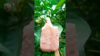 Almond Kulfi Ice-cream | Fast Eating show ? shorts viral kulfi