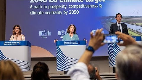 EU open to carbon offsets on path to 2040 emissions target