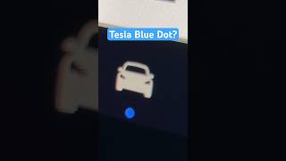 What Is This Blue Dot On My Tesla? #shorts #tesla